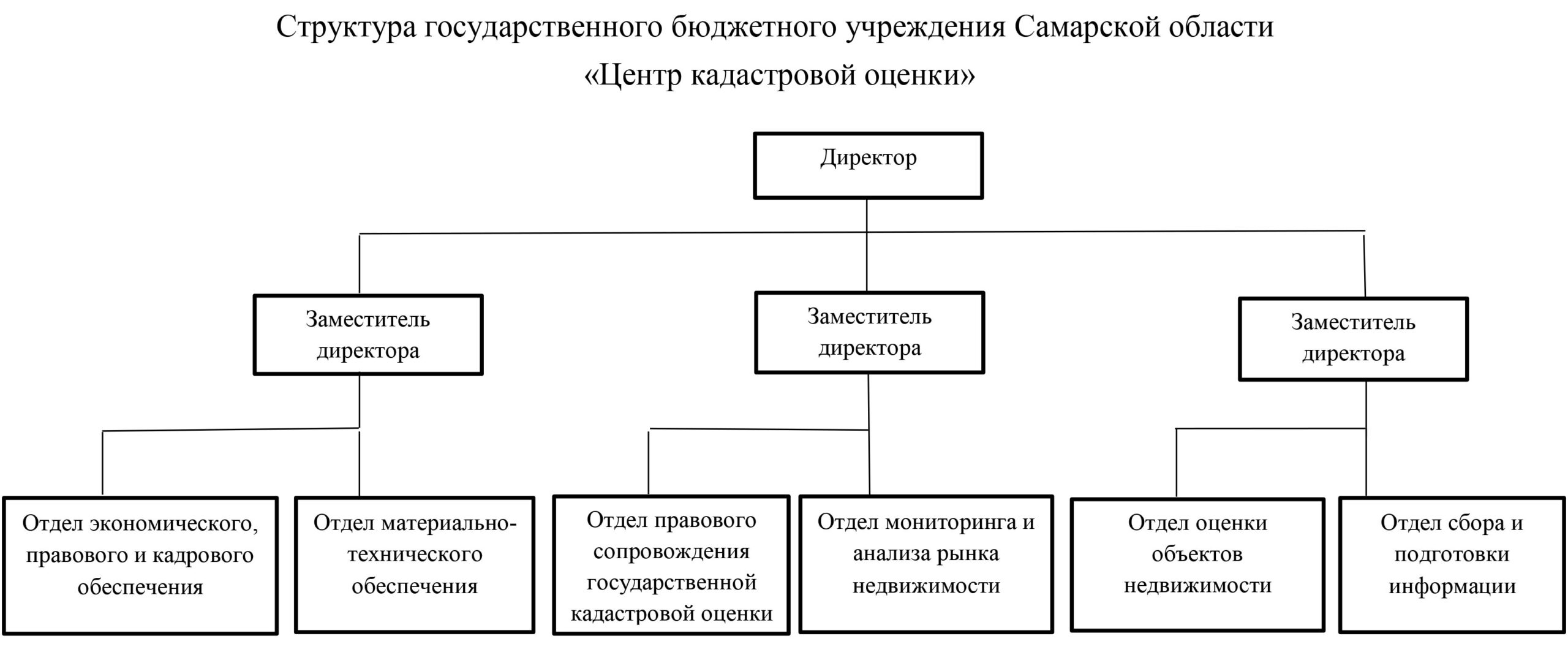Структура ГБУ